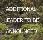 Place holder alt Additional VENT Leader